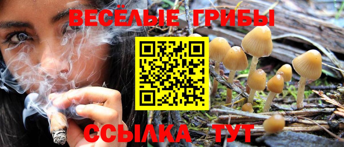 COCAIN  Клинцы  Вход с VPN  Мефедрон   Alpha PVP СК кристаллы  МЕТ  ГАШ  ЭКСТАЗИ  Конопля  Каннабис 