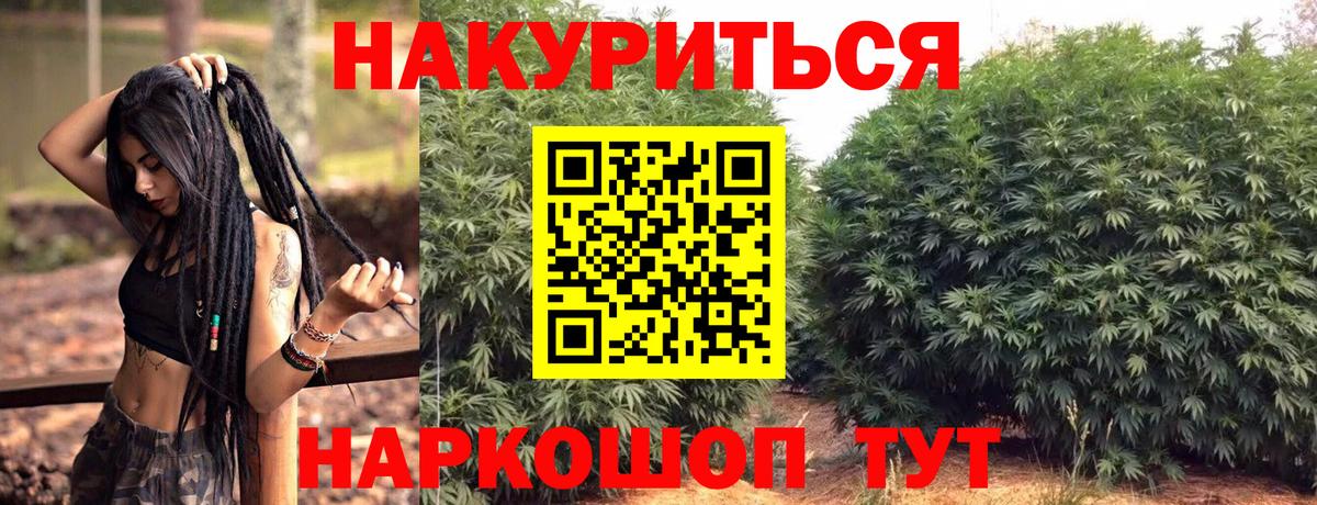 Каннабис планчик  Бошки марихуана конопля  Клинцы  Бошки Шишки марихуана  Вход с VPN  Марихуана THC 21% 